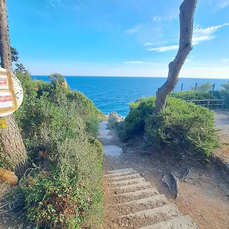 公寓 Cap Sur Le Soleil 滨海圣芒德里耶